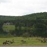 Allegany State Park